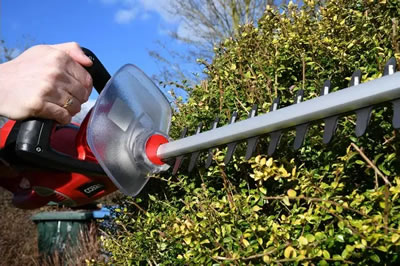 cobra electric gardening tool bundle