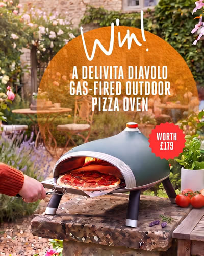 delivita diavolo gas-fired pizza oven