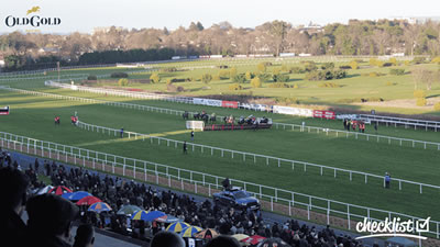 irish racing experience