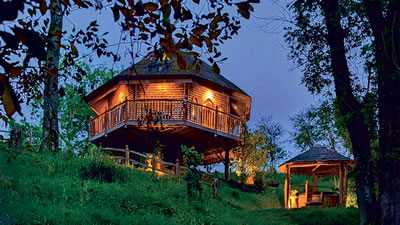 treeopia treehouses