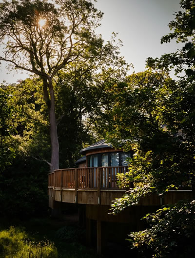 fairmont windsor treehouse