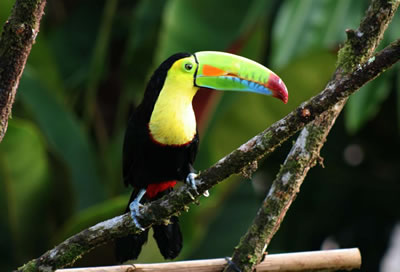 costa rica holiday