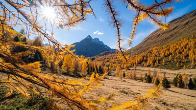 bormio trip