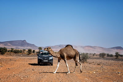 sahara off-road adventure
