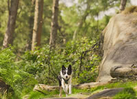 Win a luxury Dorset break