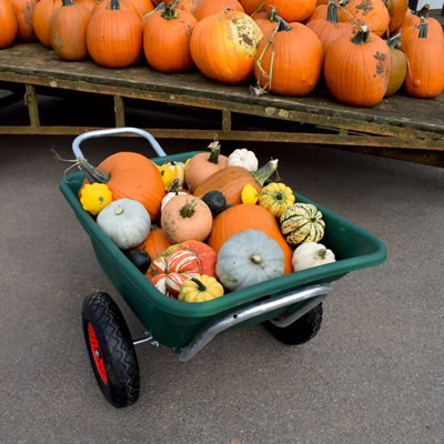 henchman autumn bundle