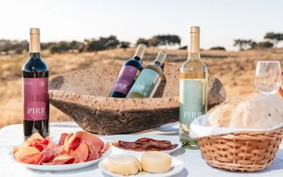 ultimate portuguese wine case