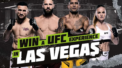 ufc las vegas experience